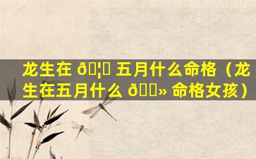 龙生在 🦋 五月什么命格（龙生在五月什么 🌻 命格女孩）